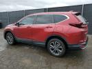 Honda Crv Exl Image 3