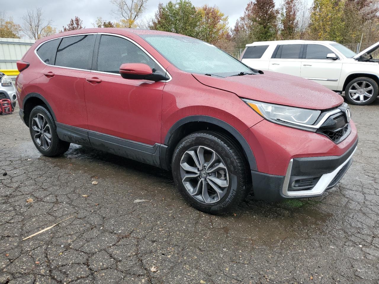 Honda Crv Exl Image 5