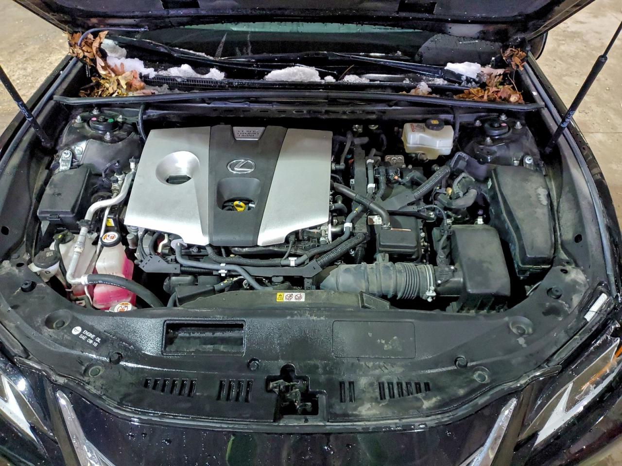 Lexus Es 300h Image 2