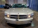 Dodge Charger Image 3