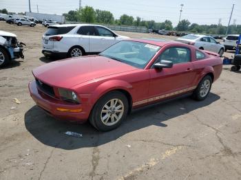 Salvage Ford Mustang