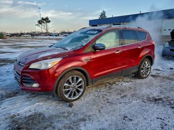  Salvage Ford Escape