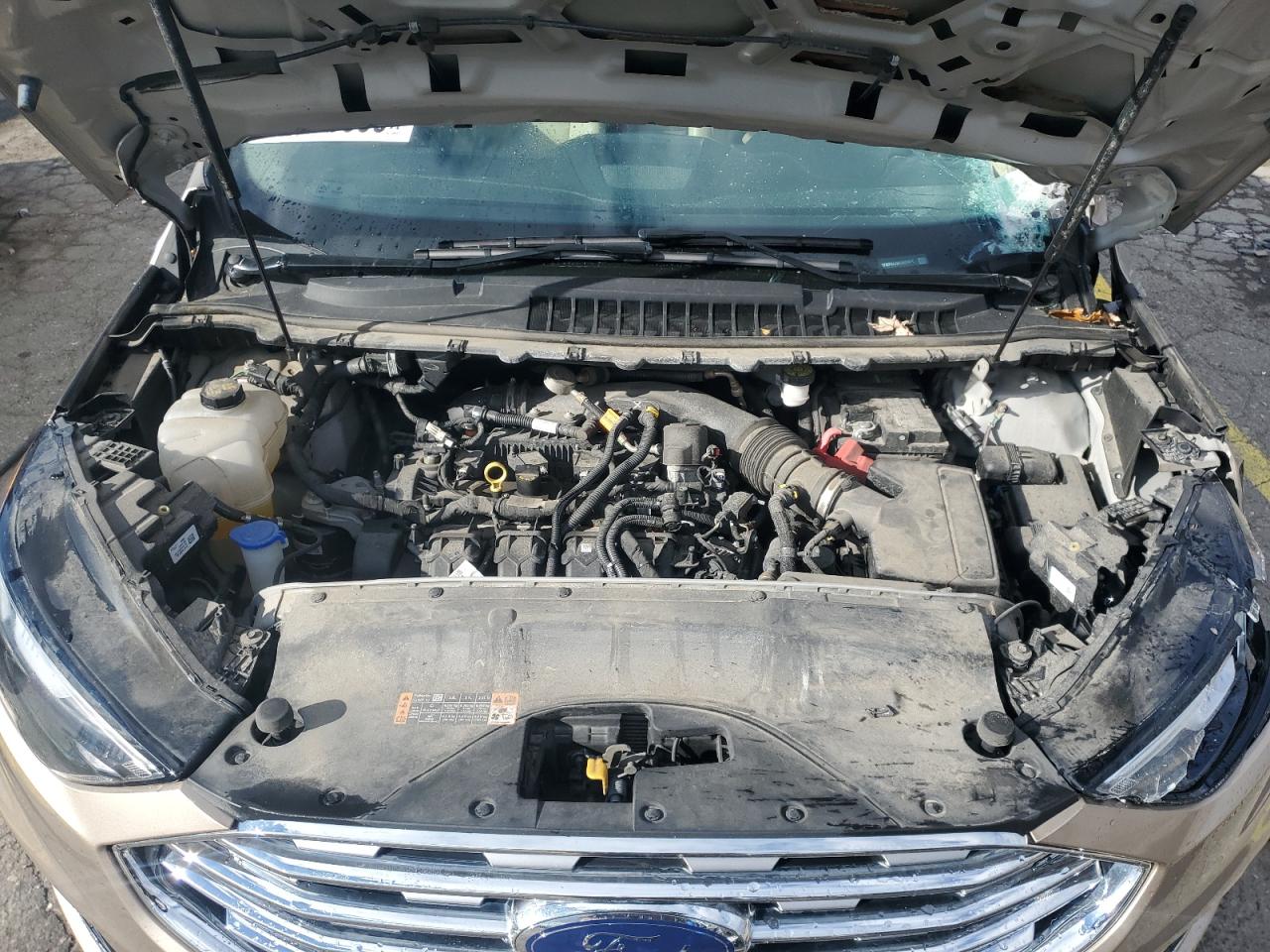 Ford Edge Sel Image 13