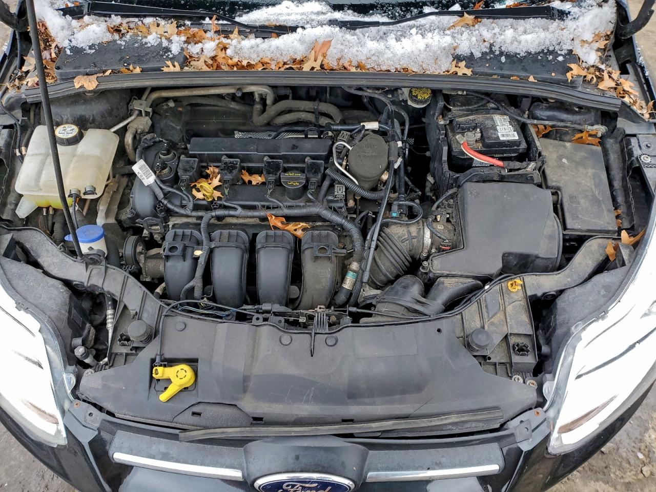 Ford Focus Se Image 4