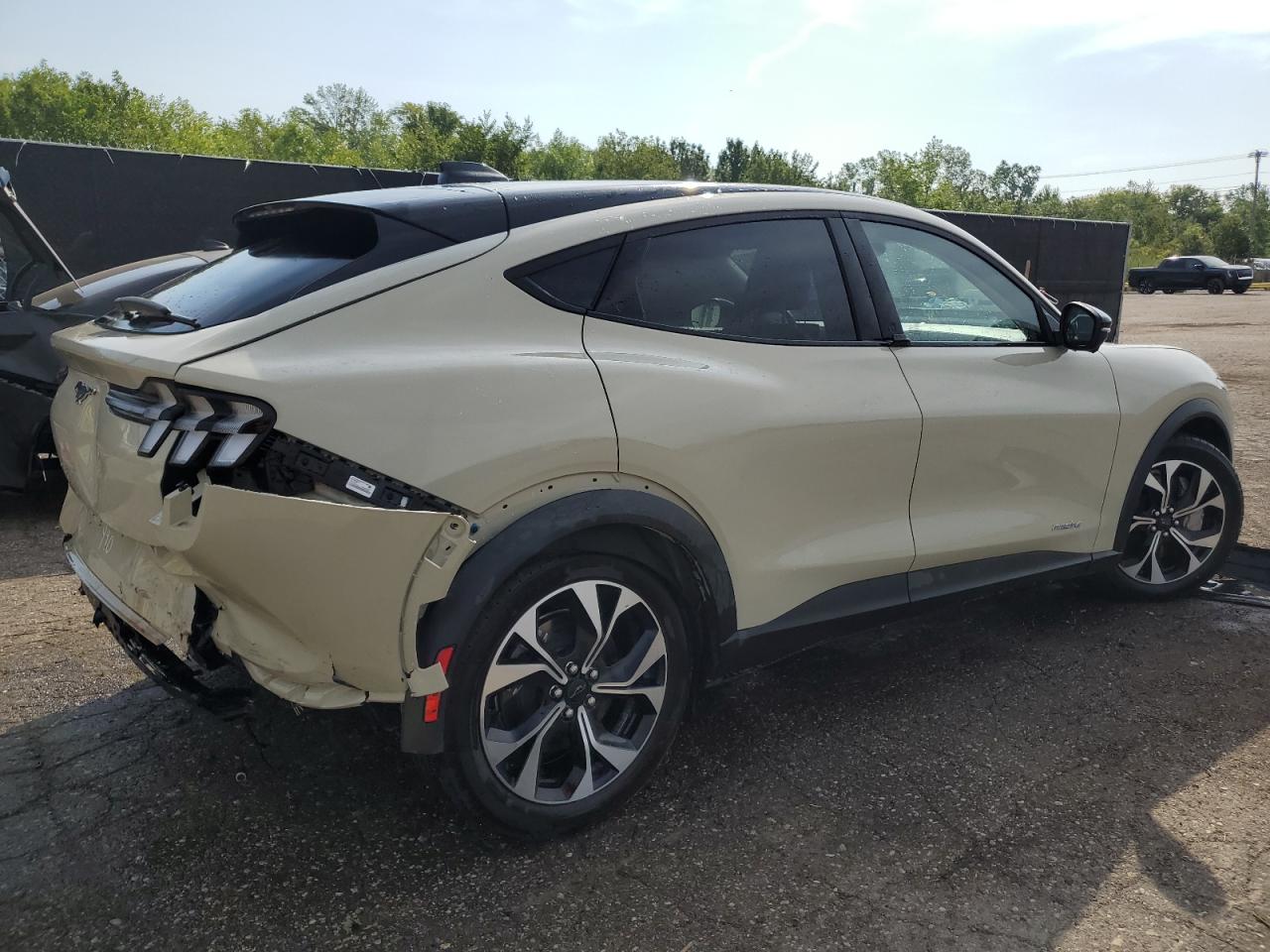 Ford Mustang Select Image 2