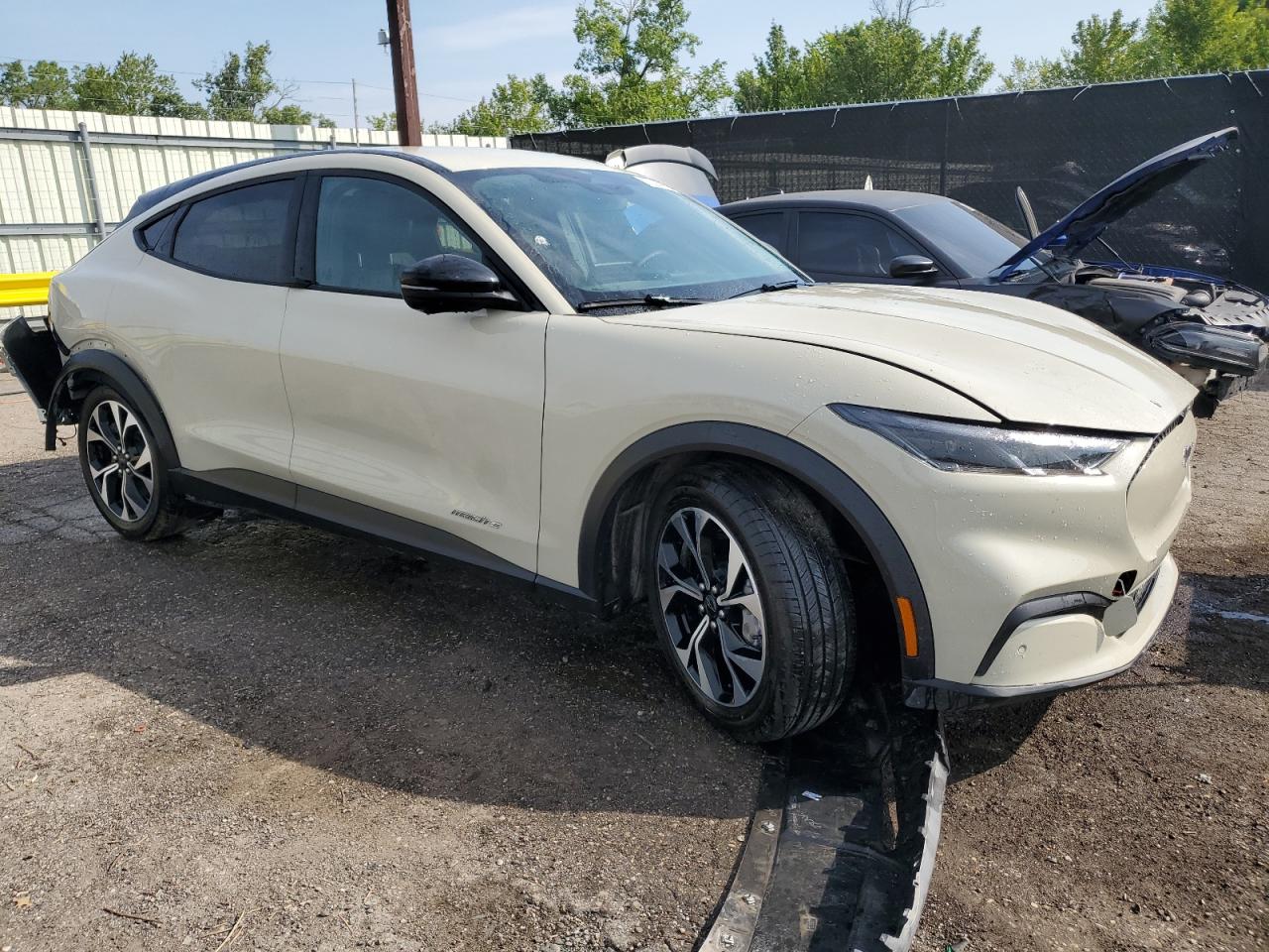 Ford Mustang Select Image 3