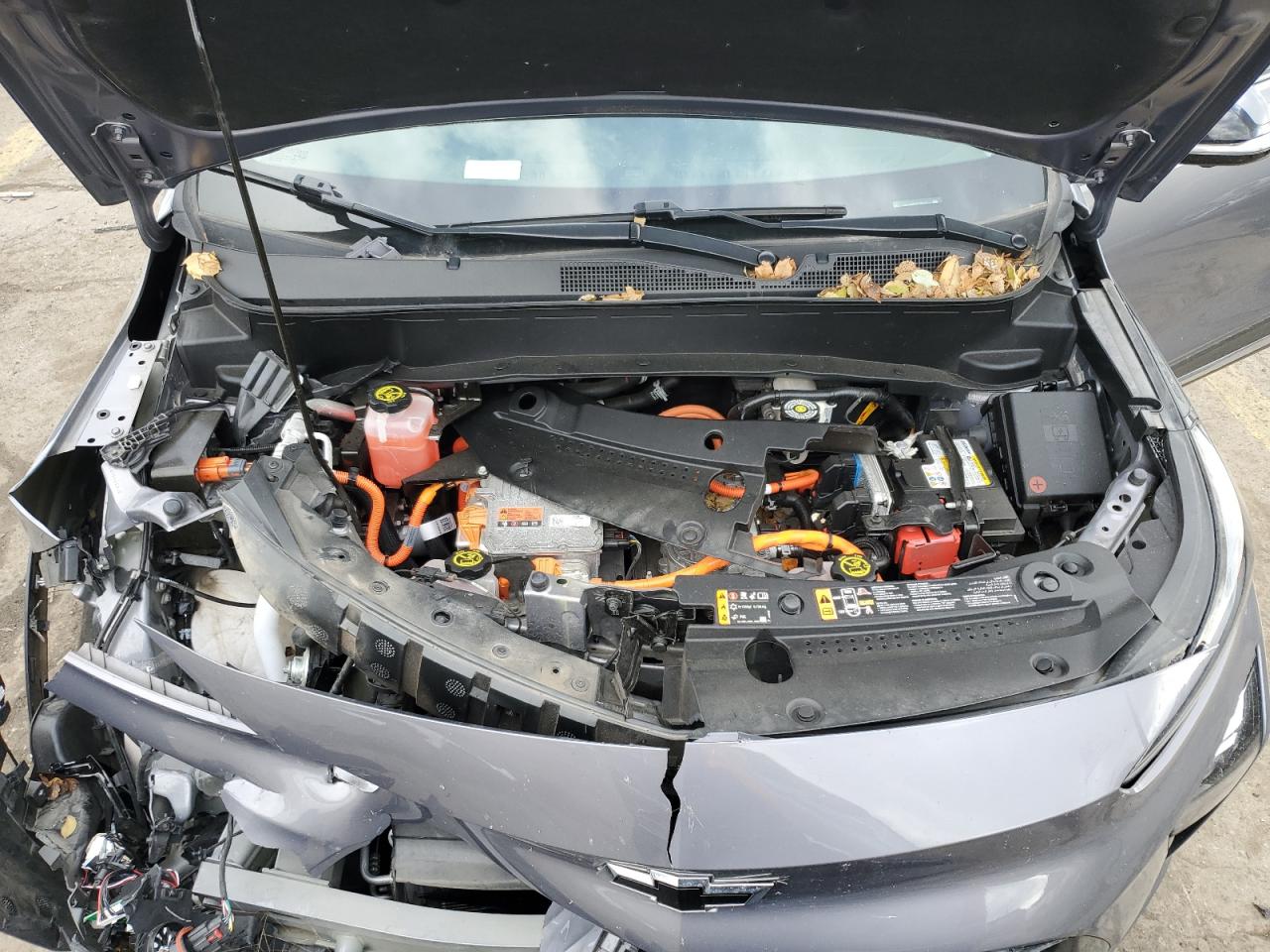 Chevrolet Bolt Premier Image 6