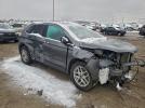 Ford Edge Sel Image 3