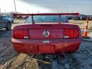 Ford Mustang Image 9
