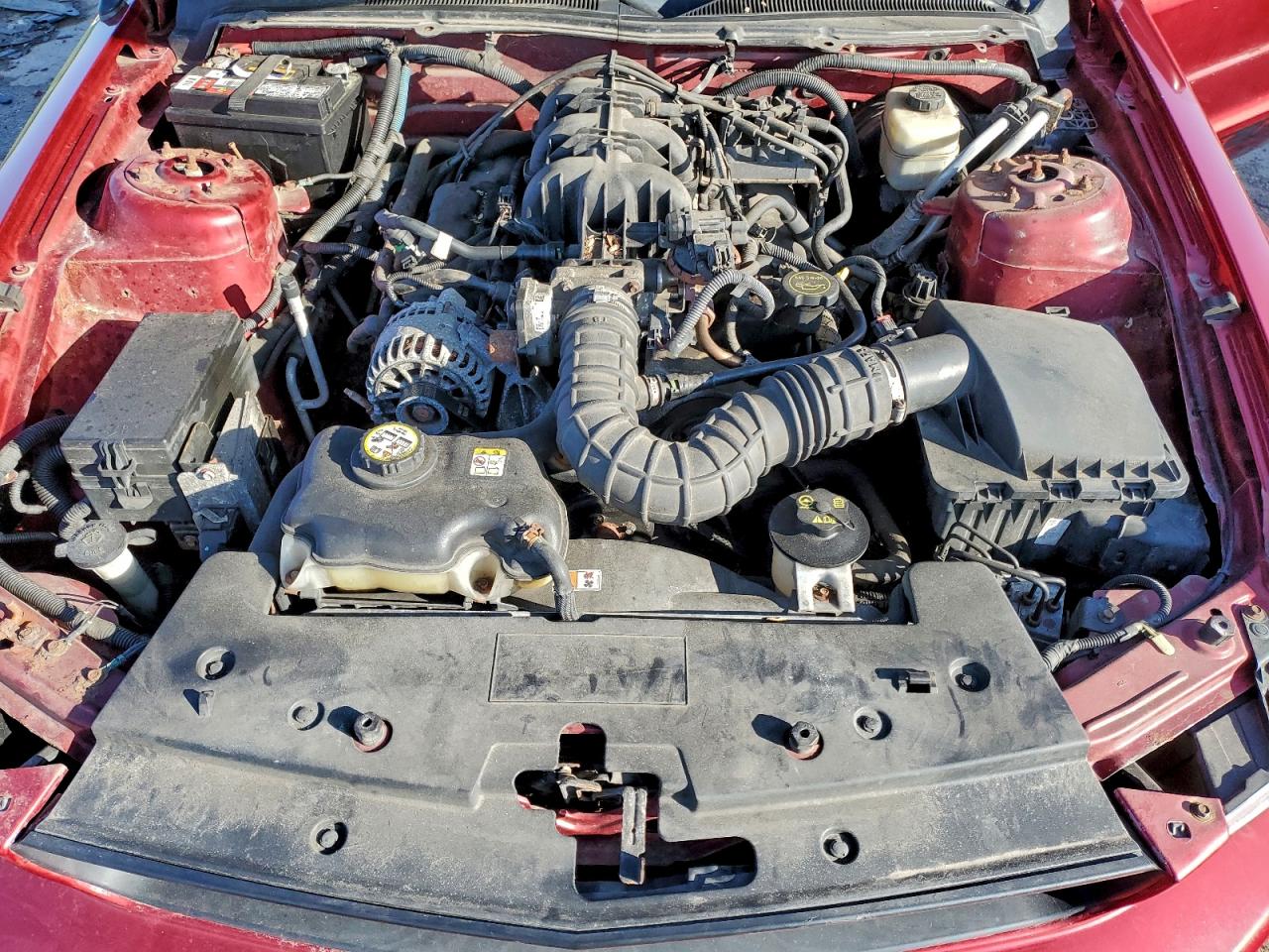 Ford Mustang Image 8