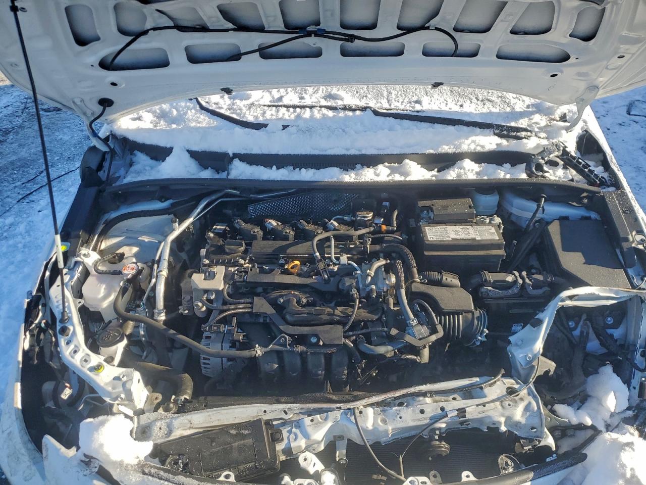 Toyota Corolla Se Image 11