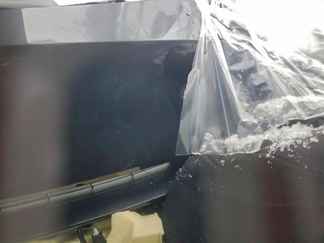 Tesla Model Y Image 11