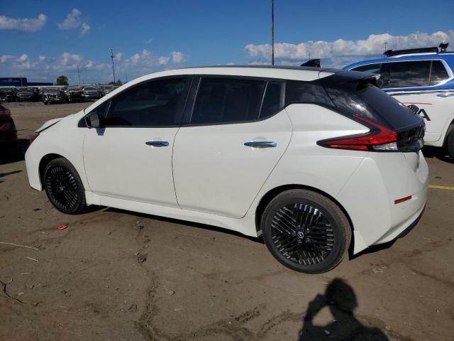 Nissan LEAF Sv Plus Image 5