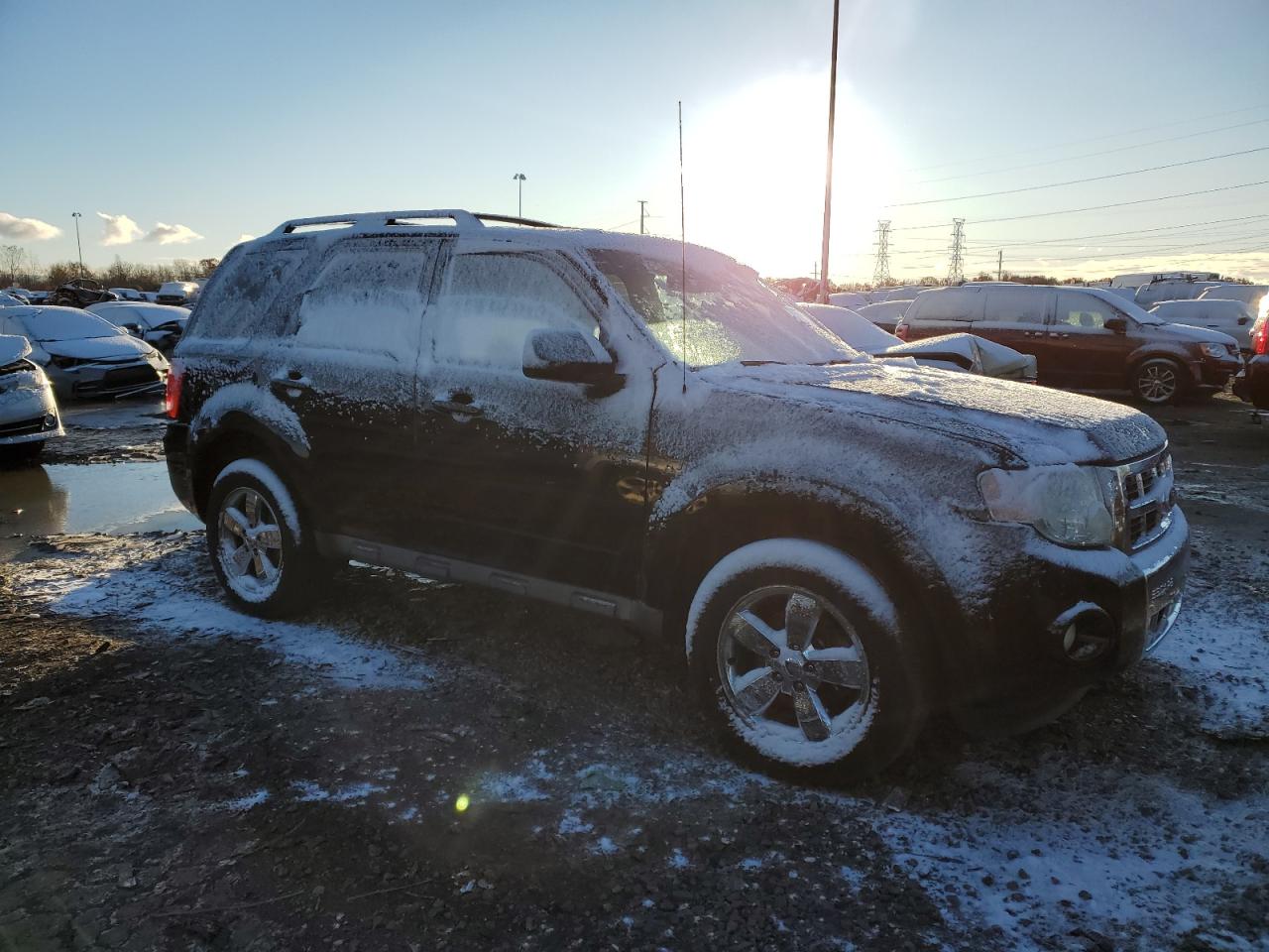 Ford Escape Limited Image 4