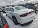 Dodge Charger Police Image 3