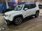 Jeep Renegade Limited Image 1