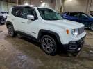 Jeep Renegade Limited Image 13