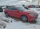 Lexus Es 300h Image 6