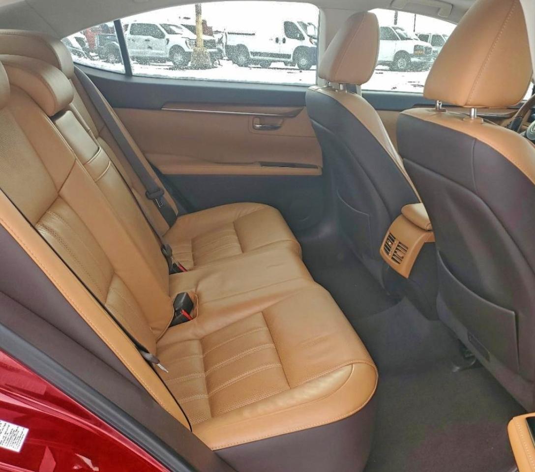 Lexus Es 300h Image 12