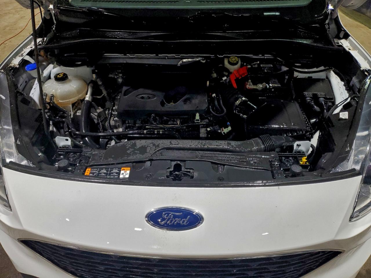 Ford Escape Se Image 8