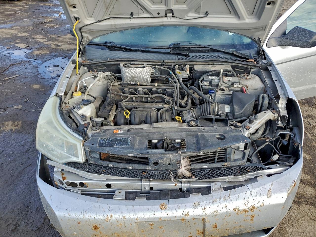 Ford Focus Se Image 10