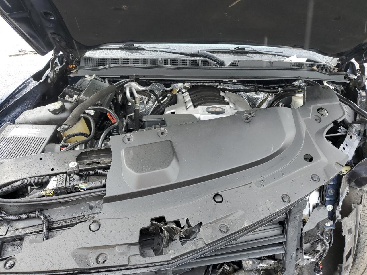 Cadillac Escalade Luxury Image 12