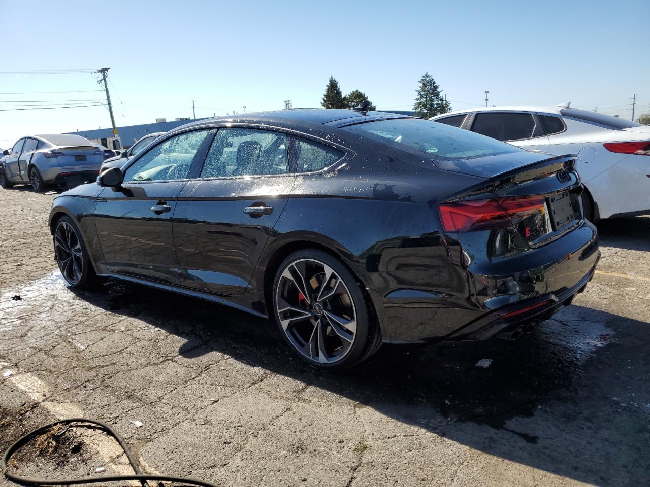 Audi S5 Premium Plus Image 6