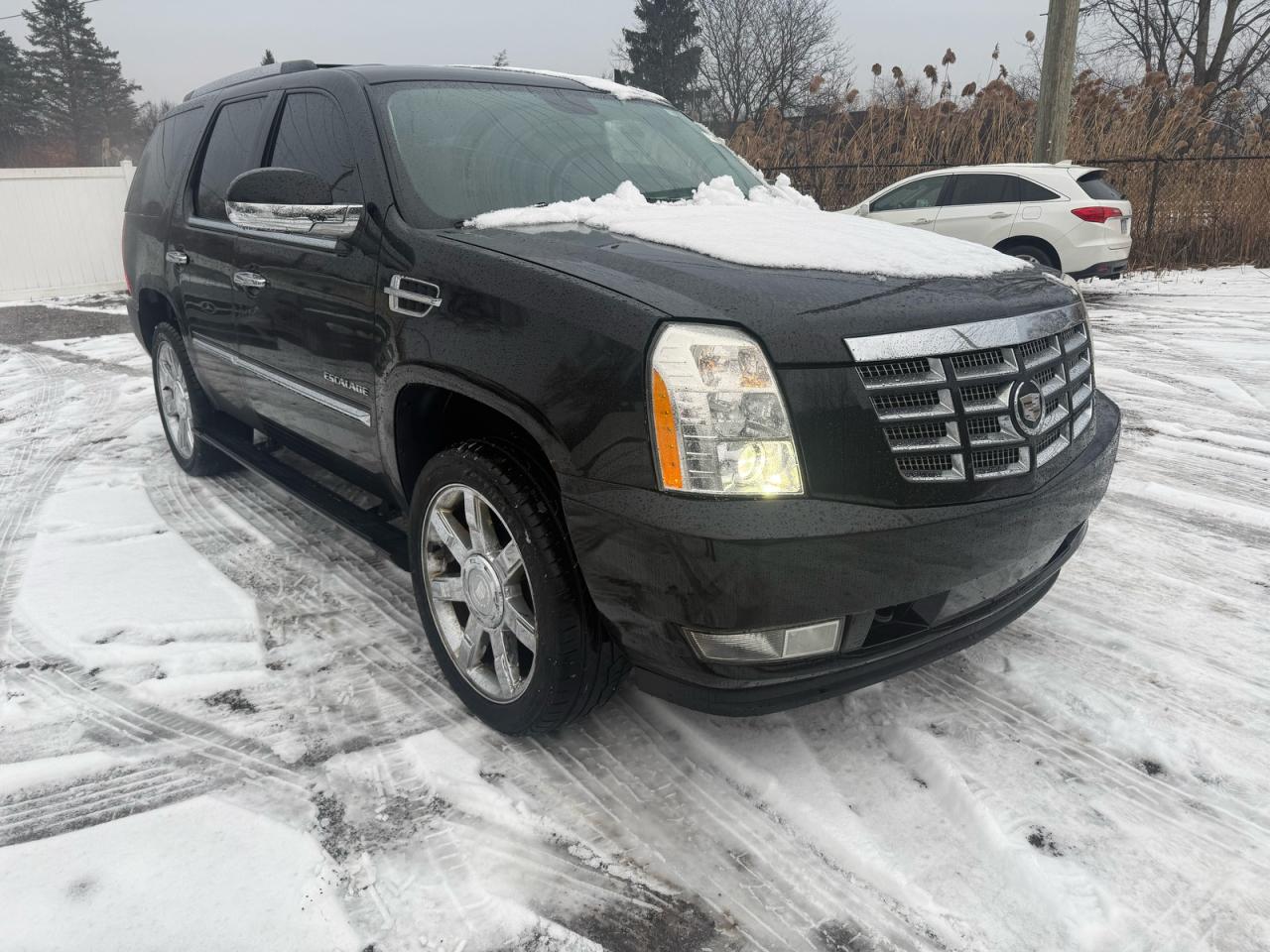 Cadillac Escalade Premium Image 1