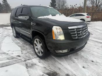  Salvage Cadillac Escalade