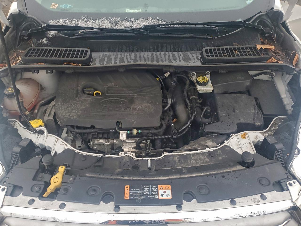 Ford Escape Se Image 7