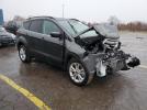 Ford Escape Sel Image 3