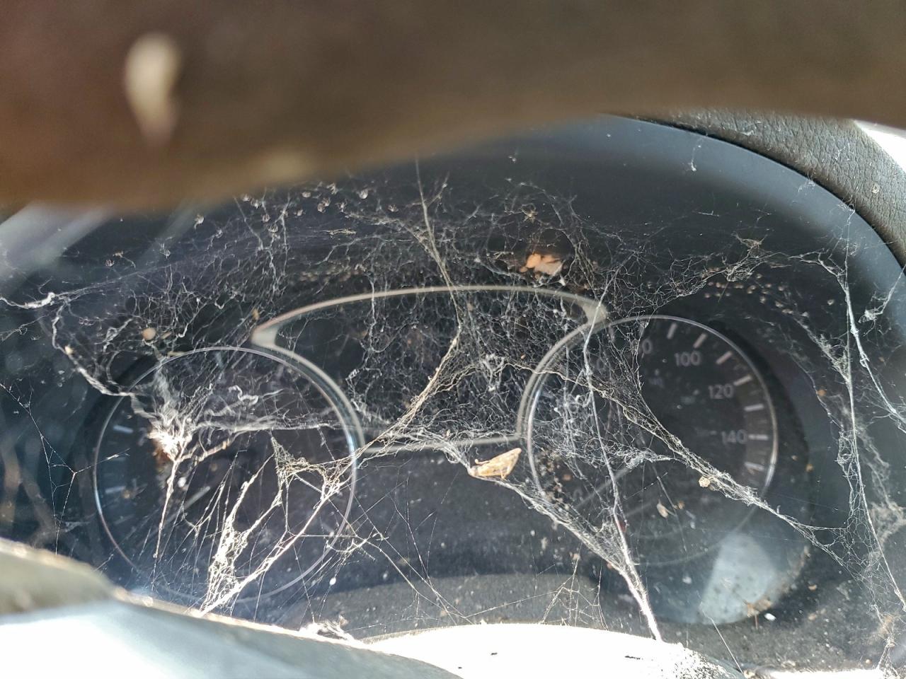 Nissan Altima 2.5 Image 9