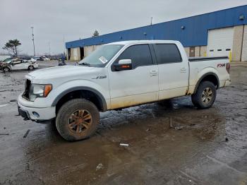 2013 Ford F-150 1FTFW1EF3DK******