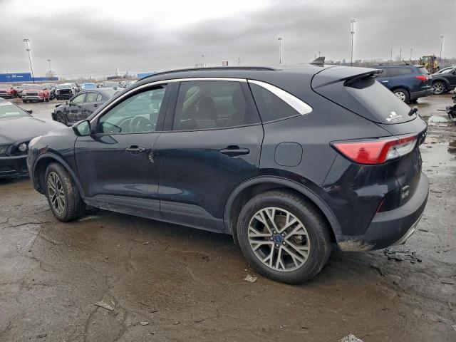 Ford Escape Sel Image 6