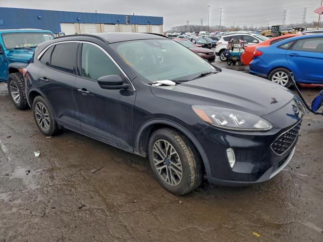 Ford Escape Sel Image 12