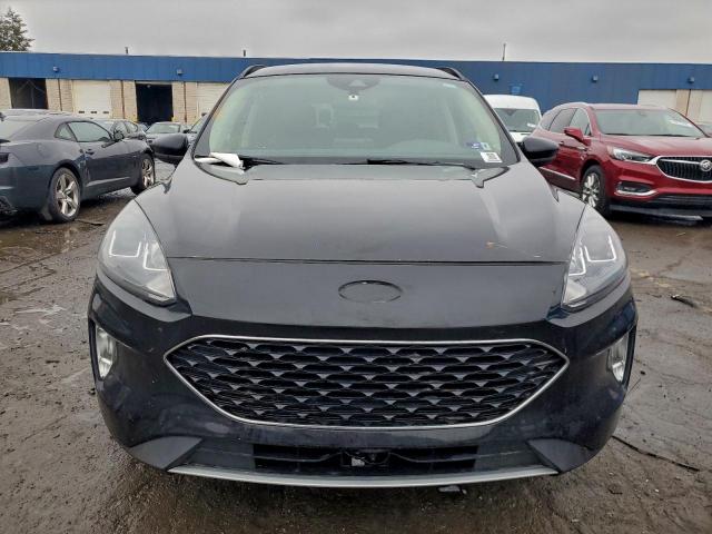 Ford Escape Sel Image 8