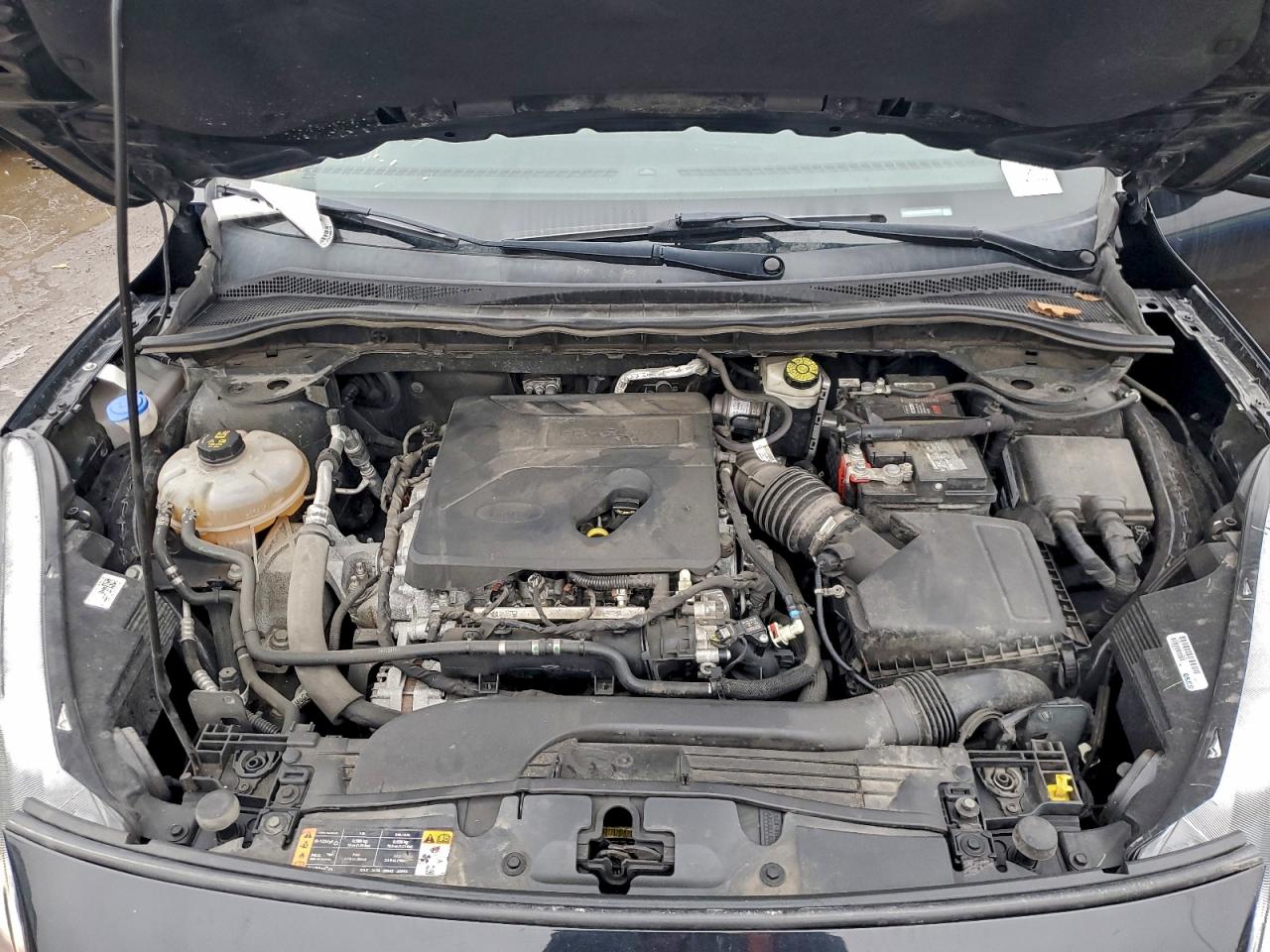 Ford Escape Sel Image 5