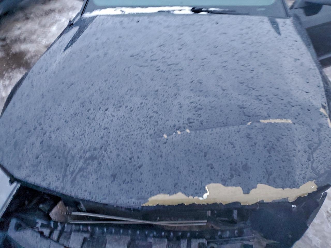 Ford Mustang Gt Image 10