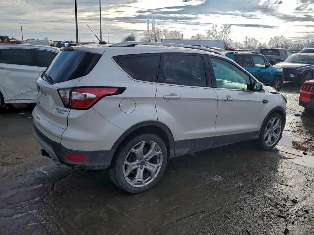Ford Escape Titanium Image 7