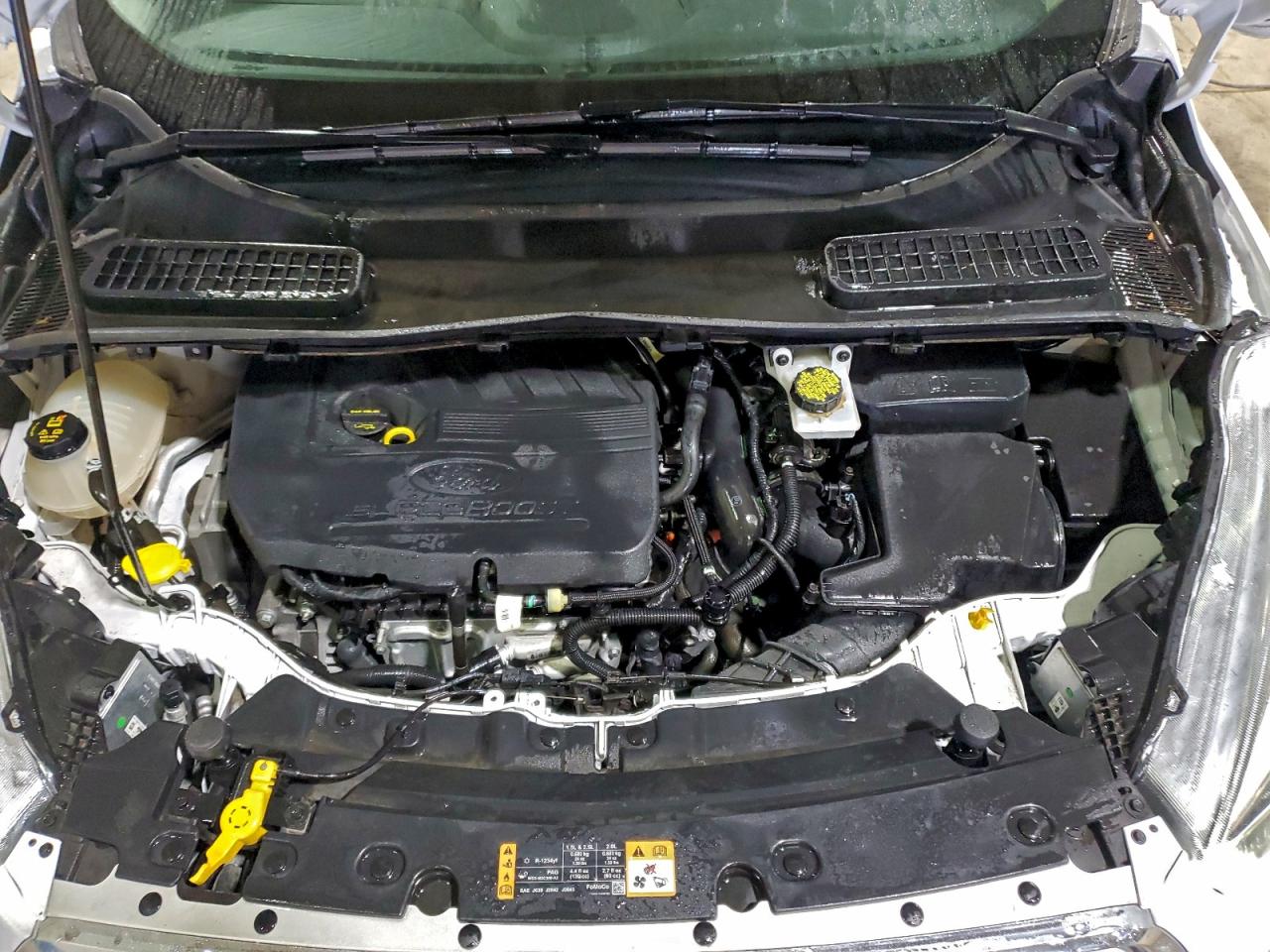 Ford Escape Sel Image 7