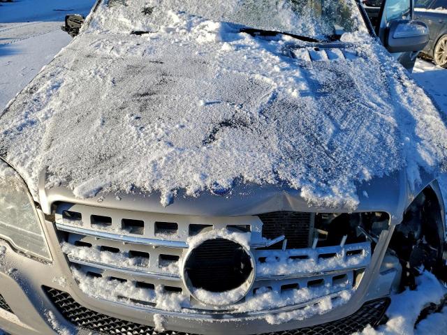 Mercedes-Benz M-Class 350 Image 10