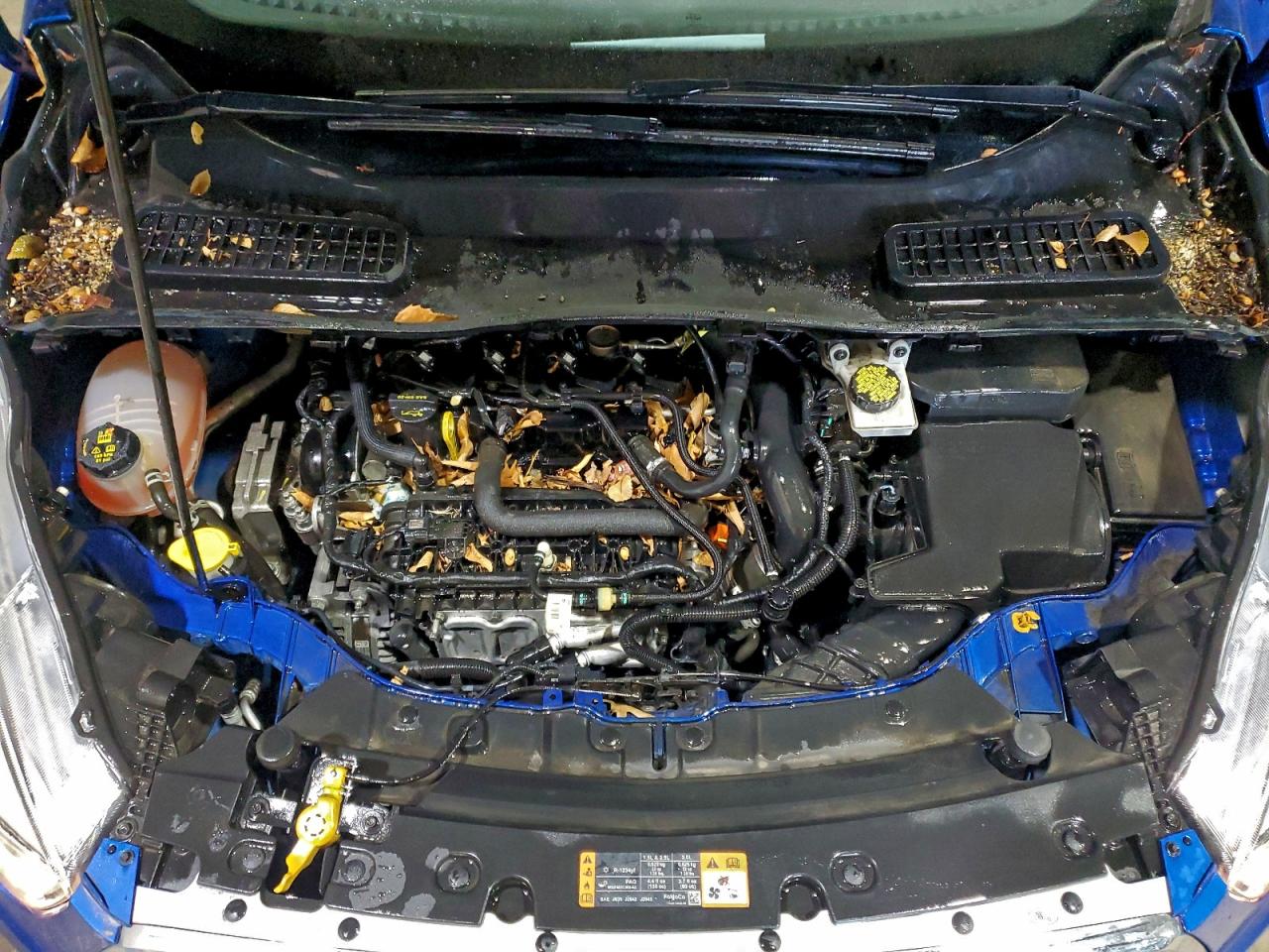 Ford Escape Se Image 13