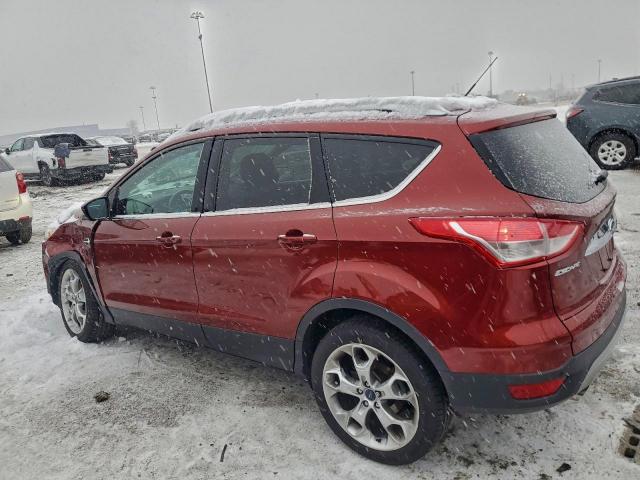 Ford Escape Titanium Image 8