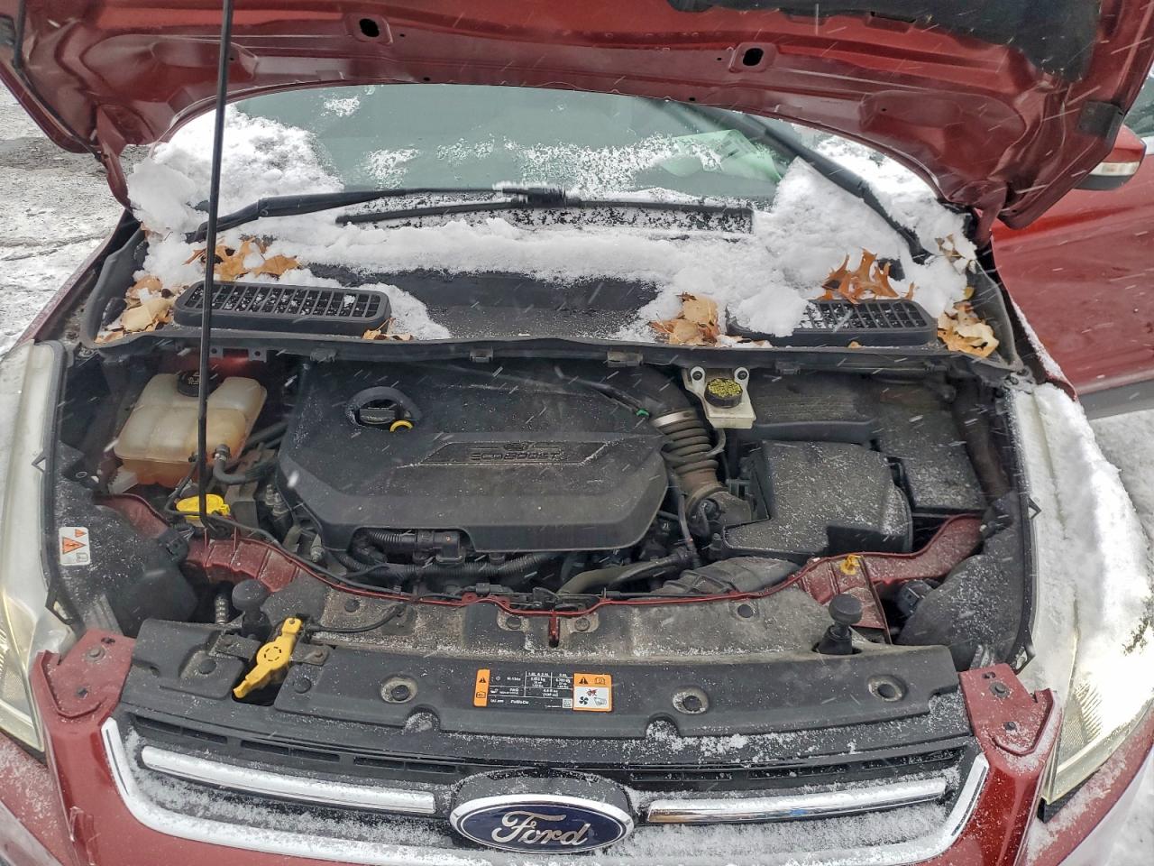 Ford Escape Titanium Image 5