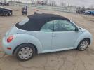 Volkswagen Beetle Gl Image 3