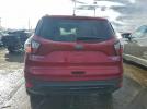 Ford Escape Titanium Image 4