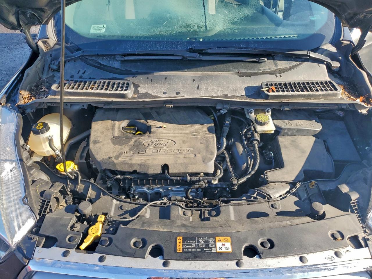 Ford Escape Se Image 12